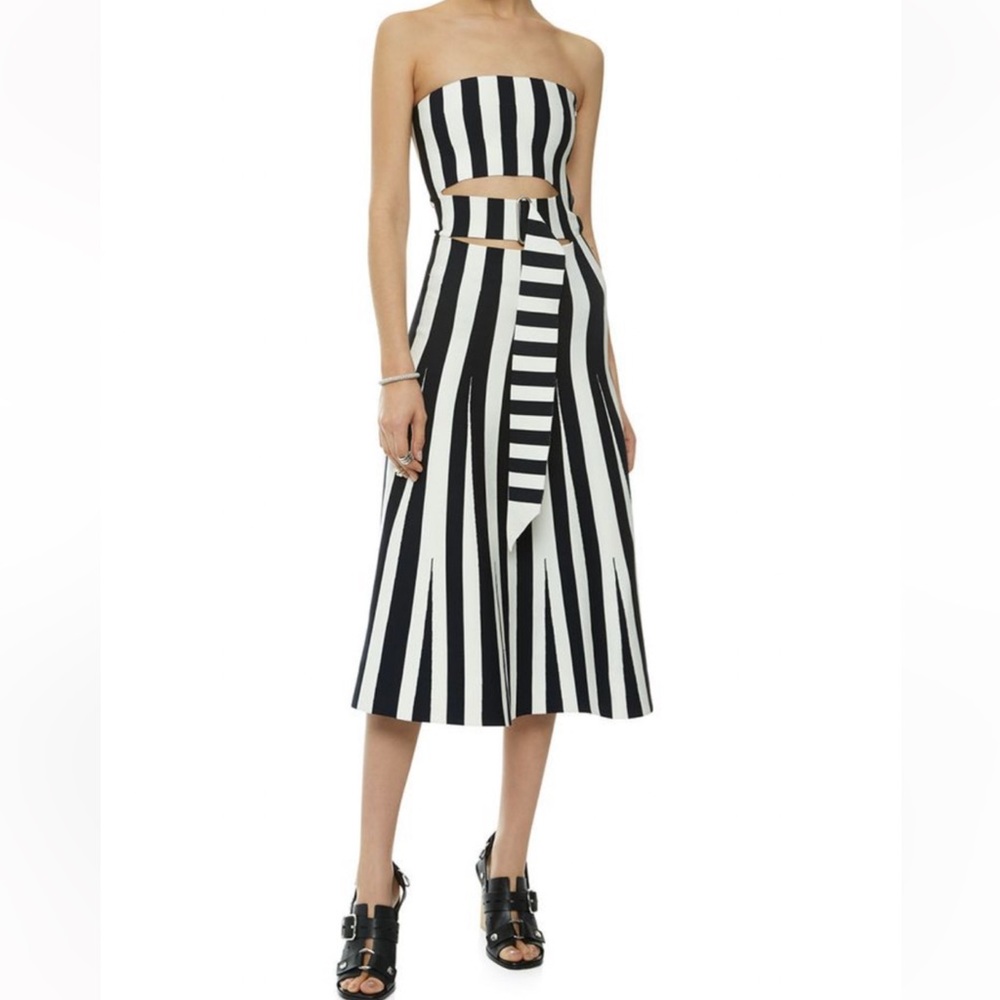 Alexander Wang Black and White Striped Midi Dress